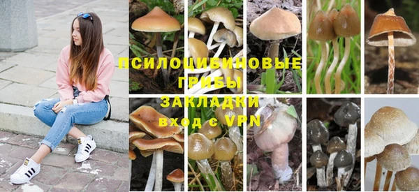 дурь Осинники